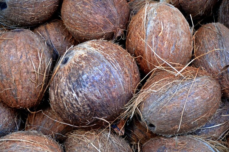 coconut, nuts, market-1583223.jpg